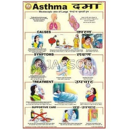 Prevent The Diseases Charts, School Education Prevent The Diseases Charts, School Education